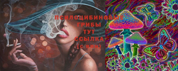 твердый Абинск