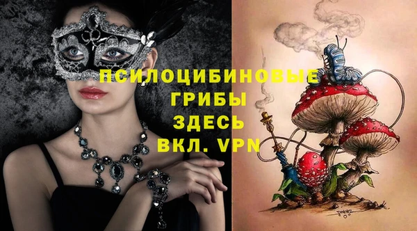 молекула духа Алексин