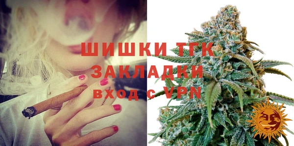 молекула духа Алексин