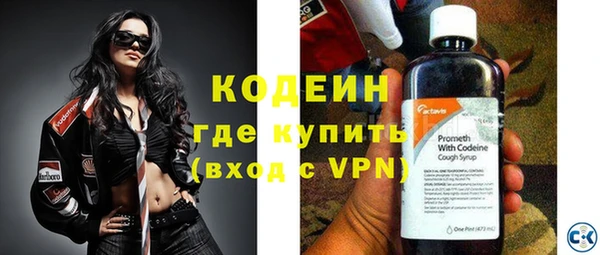 крисы Абаза