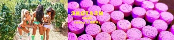 молекула духа Алексин