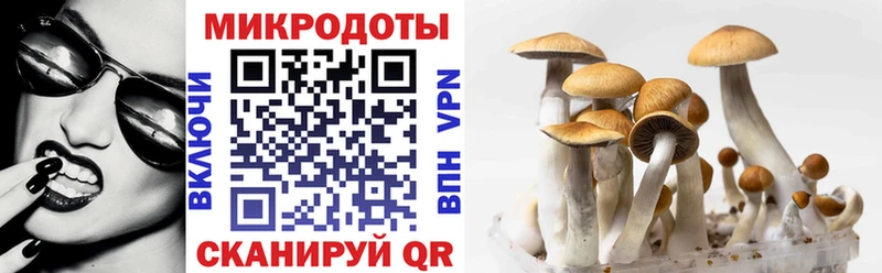 Псилоцибиновые грибы мицелий где купить наркоту МЕГА онион Чистополь